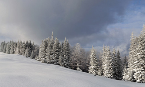 How Do Weather Conditions Affect Our Skin?