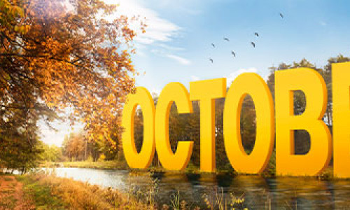 Important Care Tips for Seasonal Transitions