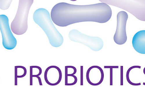 What are Prebiotics and What are the Benefits?