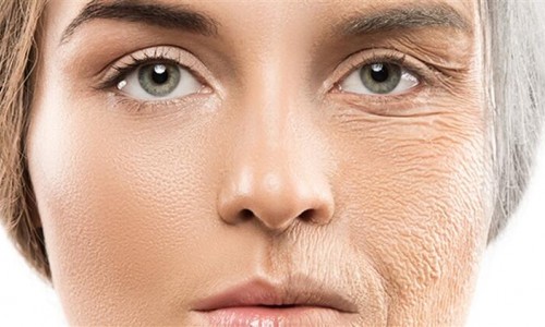 Why Is Collagen Important For A Healthy Diet?