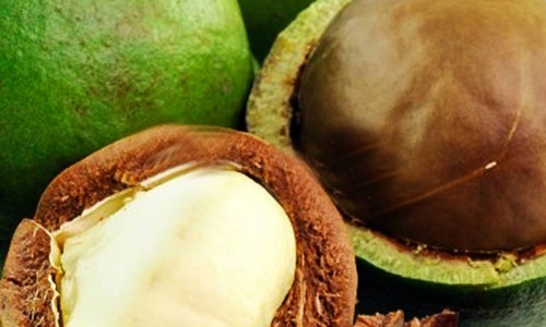 Tamanu Oil Benefits