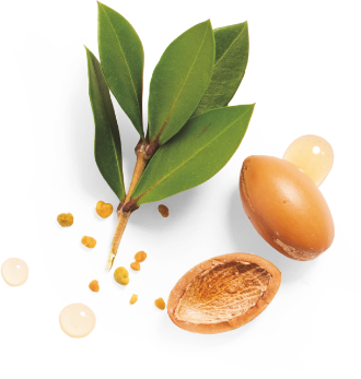 argan fruits and leaves